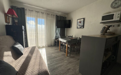 Appartement à LES ANGLES – 1 pièce(s) – 24m²